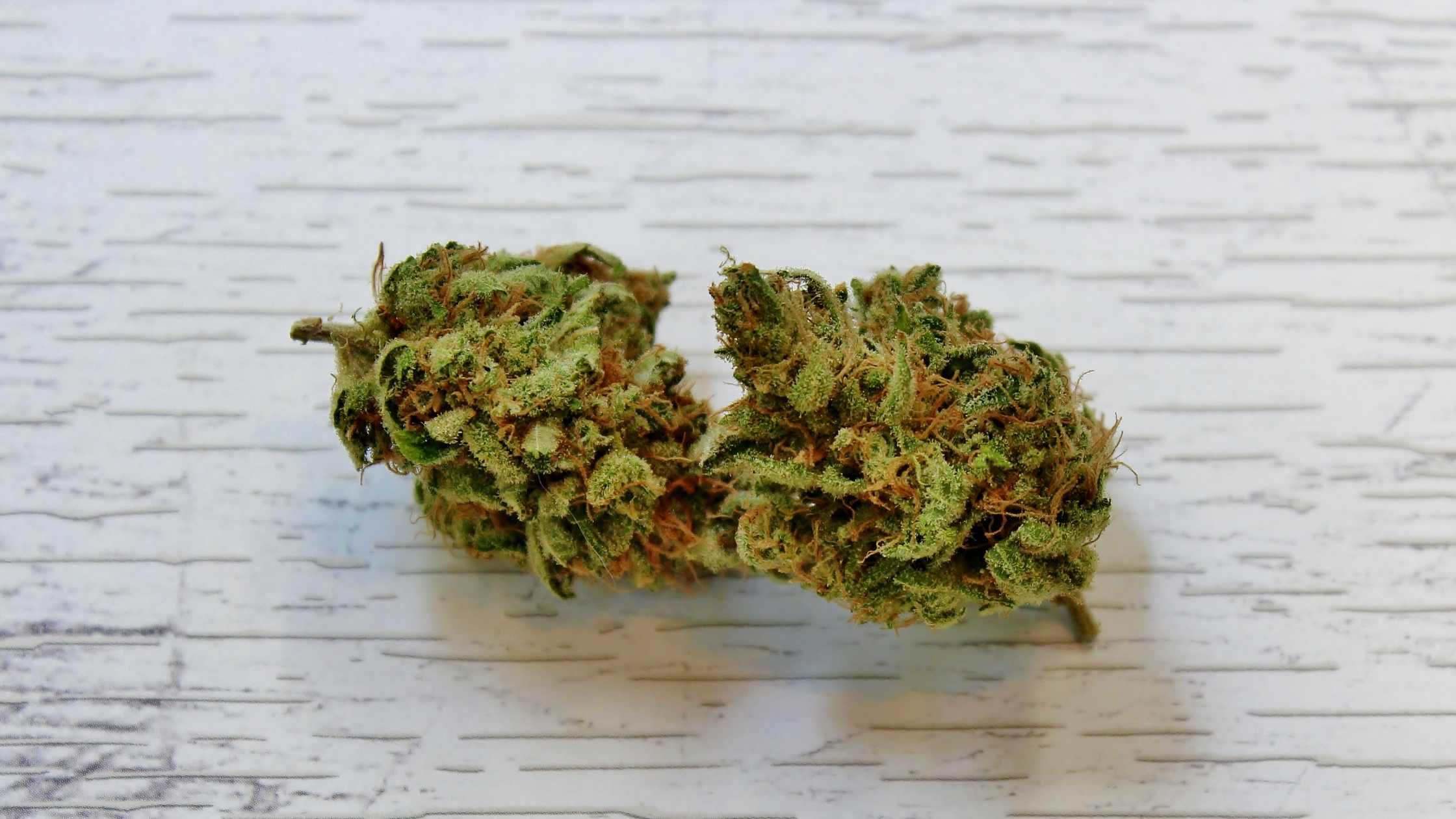 migliore marijuana